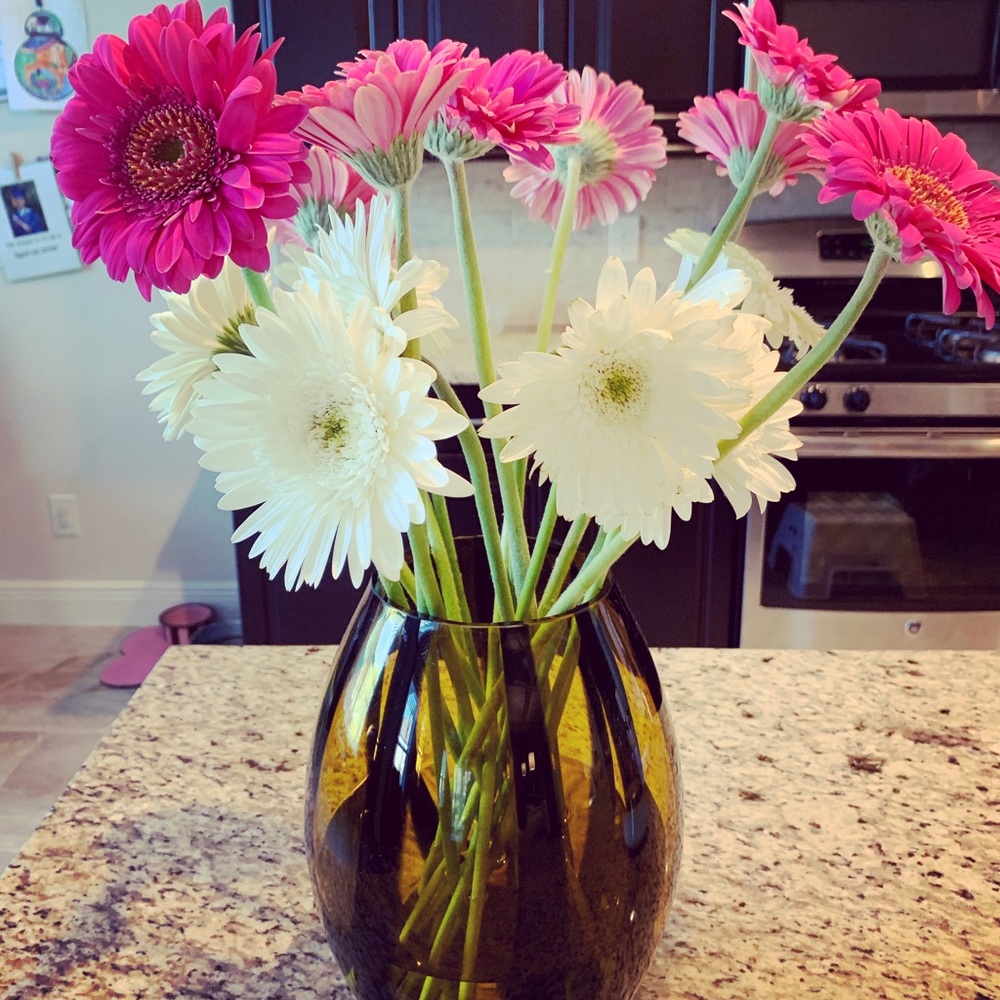 Meet your Posher, Isa